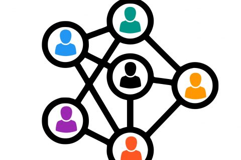 ORGANIZATIONAL AUDITS & STRATEGY